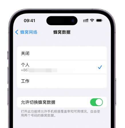 南充苹果维修服务分享如何在iPhone上使用双卡 